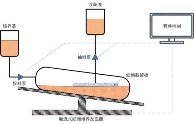 灌流式生物反應袋結(jié)構示意圖